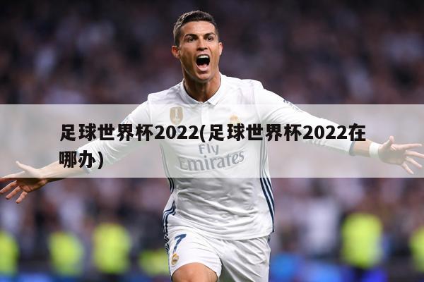 足球世界杯2022(足球世界杯2022在哪办)