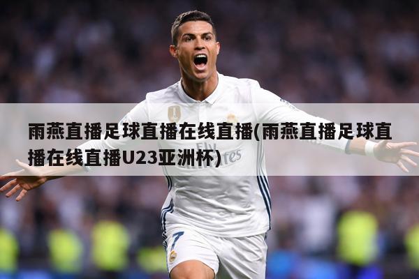 雨燕直播足球直播在线直播(雨燕直播足球直播在线直播U23亚洲杯)